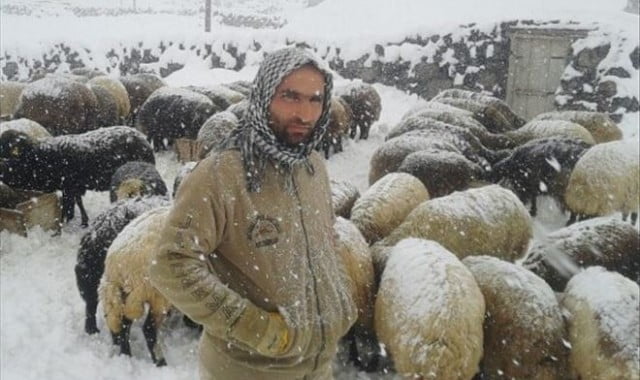 Muş Haber Fotoğrafı