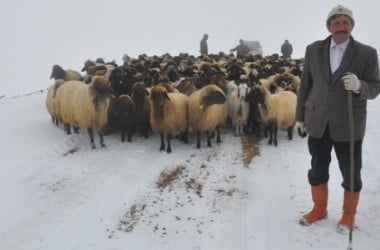 Muş Haber Fotoğrafı