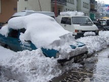 Muş Haber Fotoğrafı