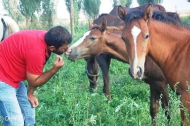 Muş Haber Fotoğrafı