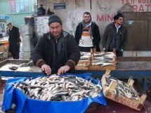 Muş Haber Fotoğrafı