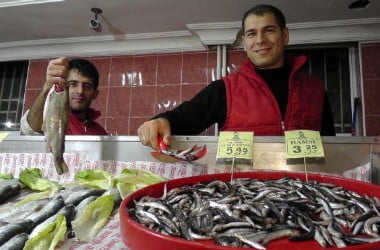 Muş Haber Fotoğrafı