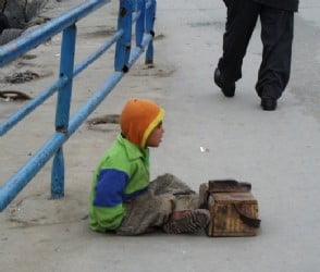 Muş Haber Fotoğrafı