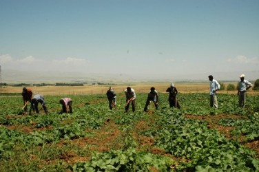 Muş Haber Fotoğrafı