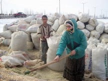 Muş Haber Fotoğrafı