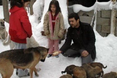 Muş Haber Fotoğrafı