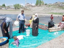 Muş Haber Fotoğrafı