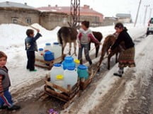 Muş Haber Fotoğrafı