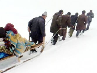 Muş Haber Fotoğrafı