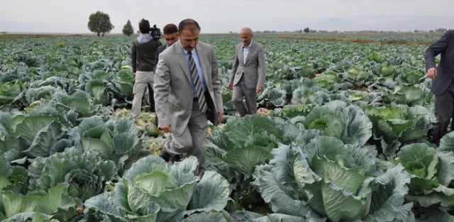 Muş Haber Fotoğrafı