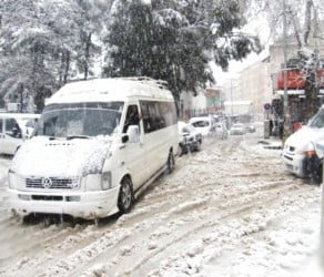 Muş Haber Fotoğrafı