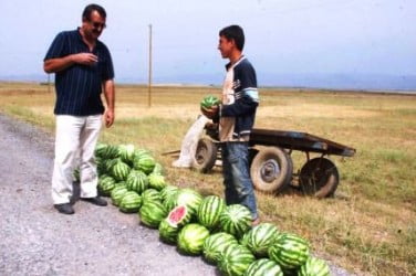 Muş Haber Fotoğrafı