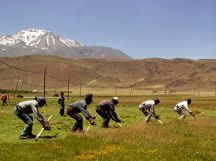 Muş Haber Fotoğrafı