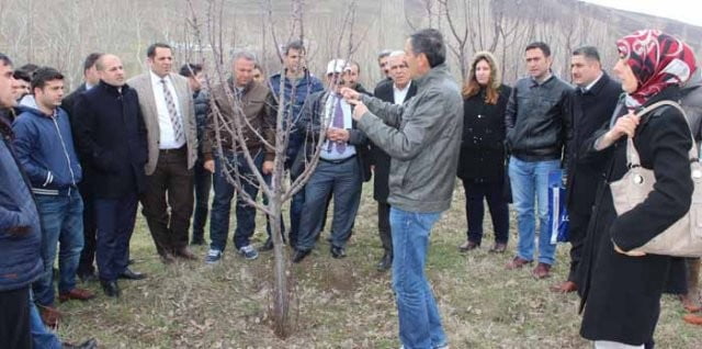 Muş Haber Fotoğrafı