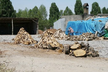 Muş Haber Fotoğrafı