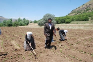 Muş Haber Fotoğrafı