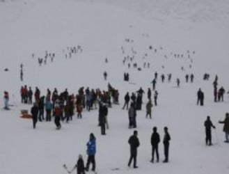 Muş Haber Fotoğrafı