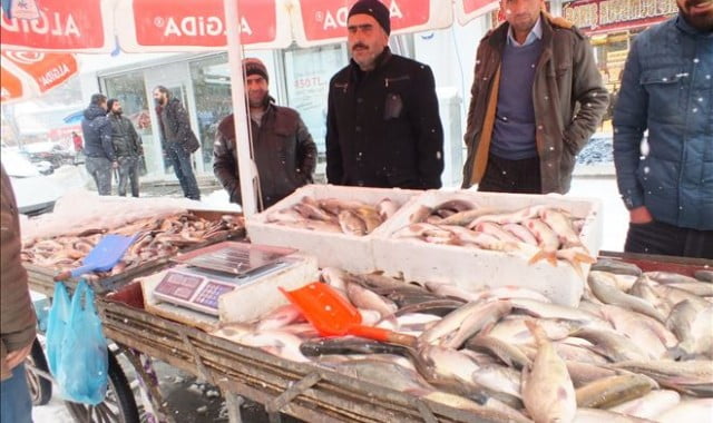 Muş Haber Fotoğrafı