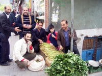 Muş Haber Fotoğrafı