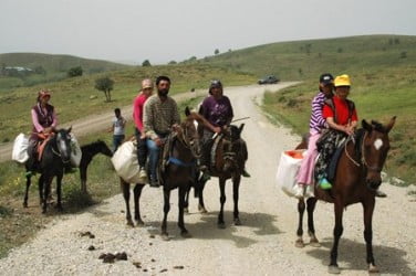 Muş Haber Fotoğrafı