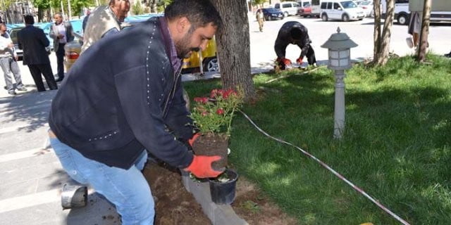 Muş Haber Fotoğrafı