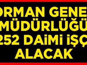 Orman Genel Müdürlüğü 252 daimi işçi alacak